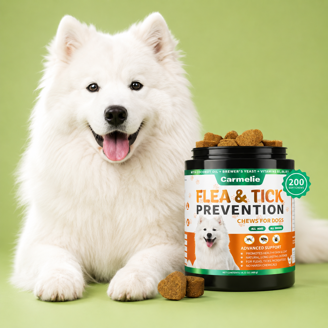 Flea & Tick Care