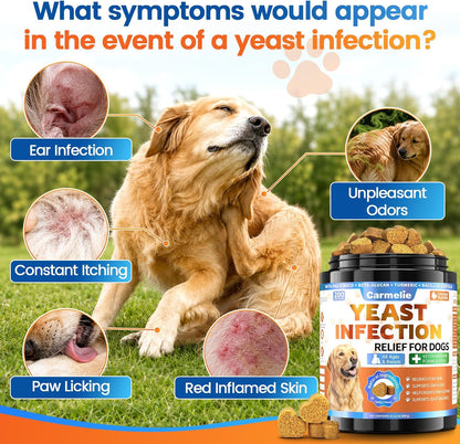 Carmelie Yeast Balance Chews for Dogs | Daily Ear, Paw & Skin Support