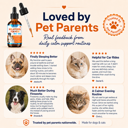 Carmelie Melatonin Drops for Dogs & Cats | Sleep & Relaxation Support