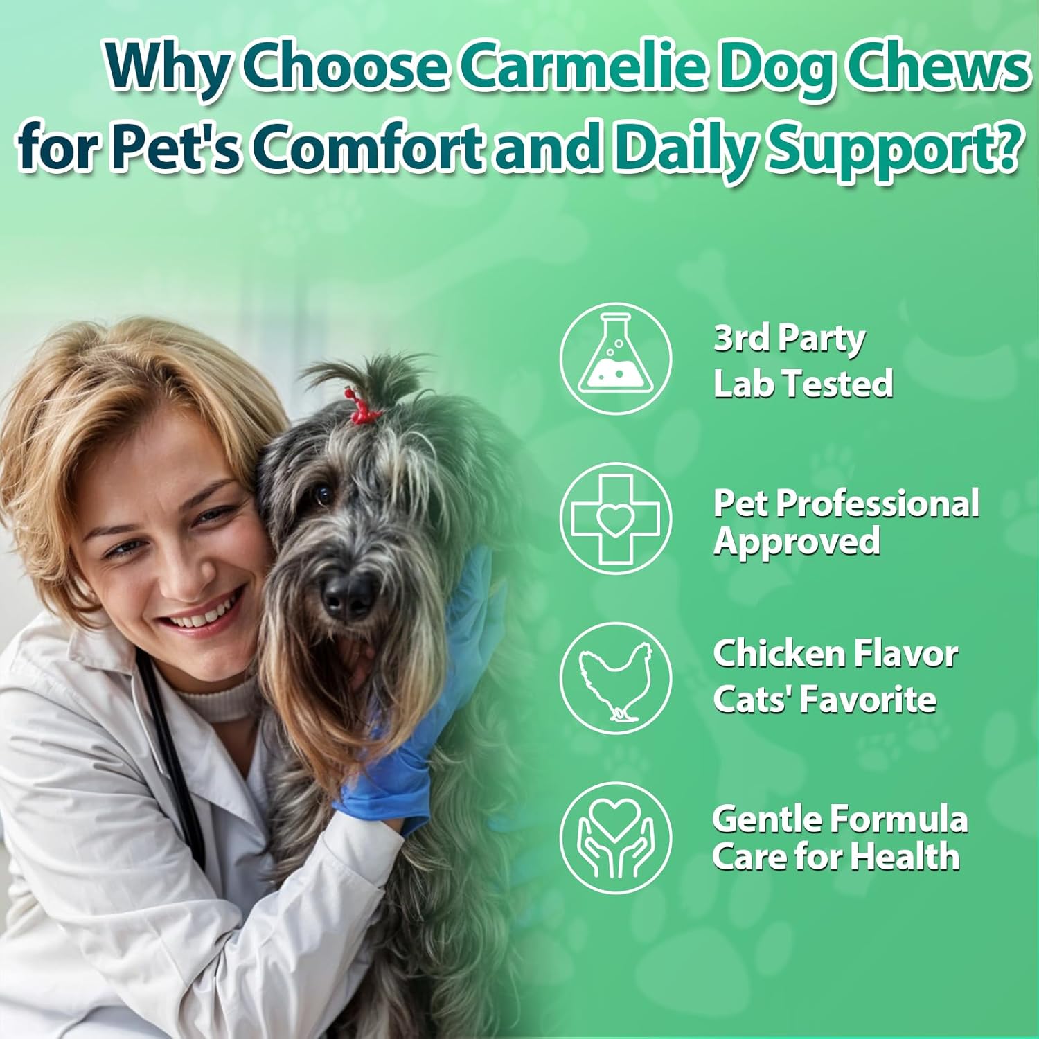 Carmelie Dog Flea & Tick Defense: 200 Natural Soft Chews | Chicken Flavor | Supports All Breeds & Ages-carmelie