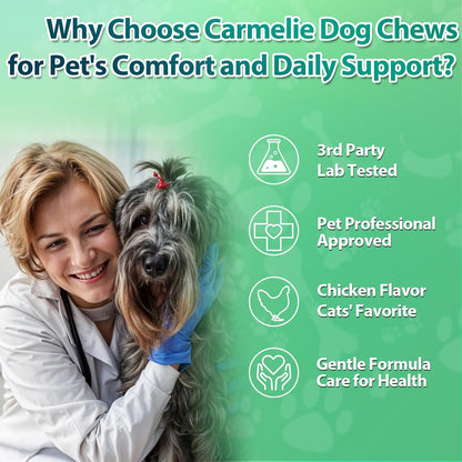 Carmelie Dog Flea & Tick Defense: 200 Natural Soft Chews | Chicken Flavor | Supports All Breeds & Ages-carmelie