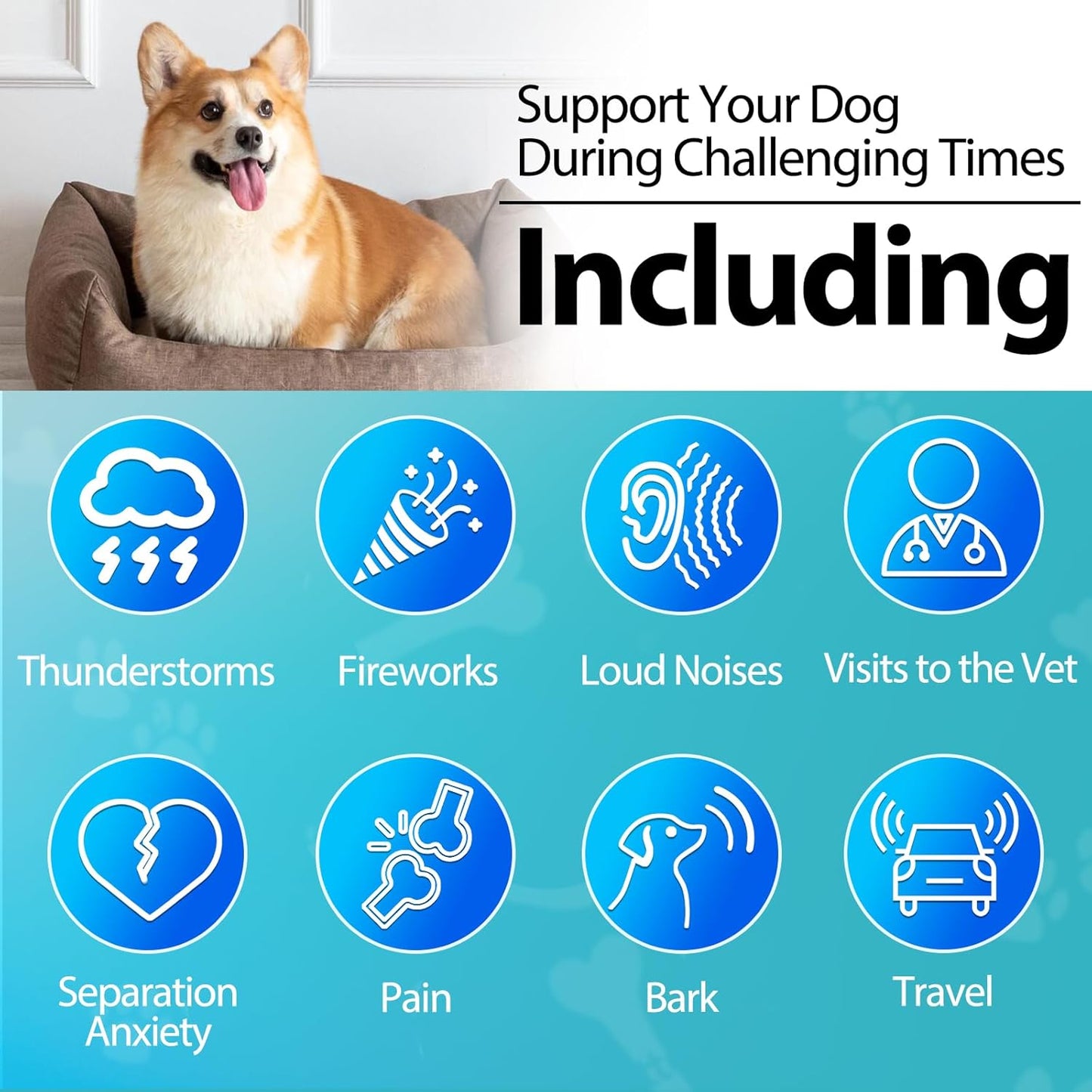 Carmelie Dog Calming Chews | 200ct Anxiety & Stress Relief for Separation, Barking & Sleep | Valerian Root & Melatonin-carmelie