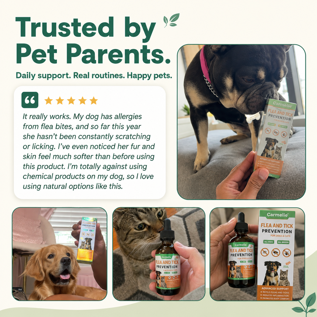 Carmelie Flea & Tick Support Drops for Dogs & Cats | Skin, Coat & Immune Support