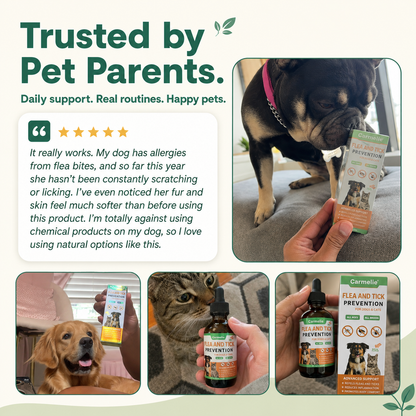 Carmelie Flea & Tick Support Drops for Dogs & Cats | Skin, Coat & Immune Support