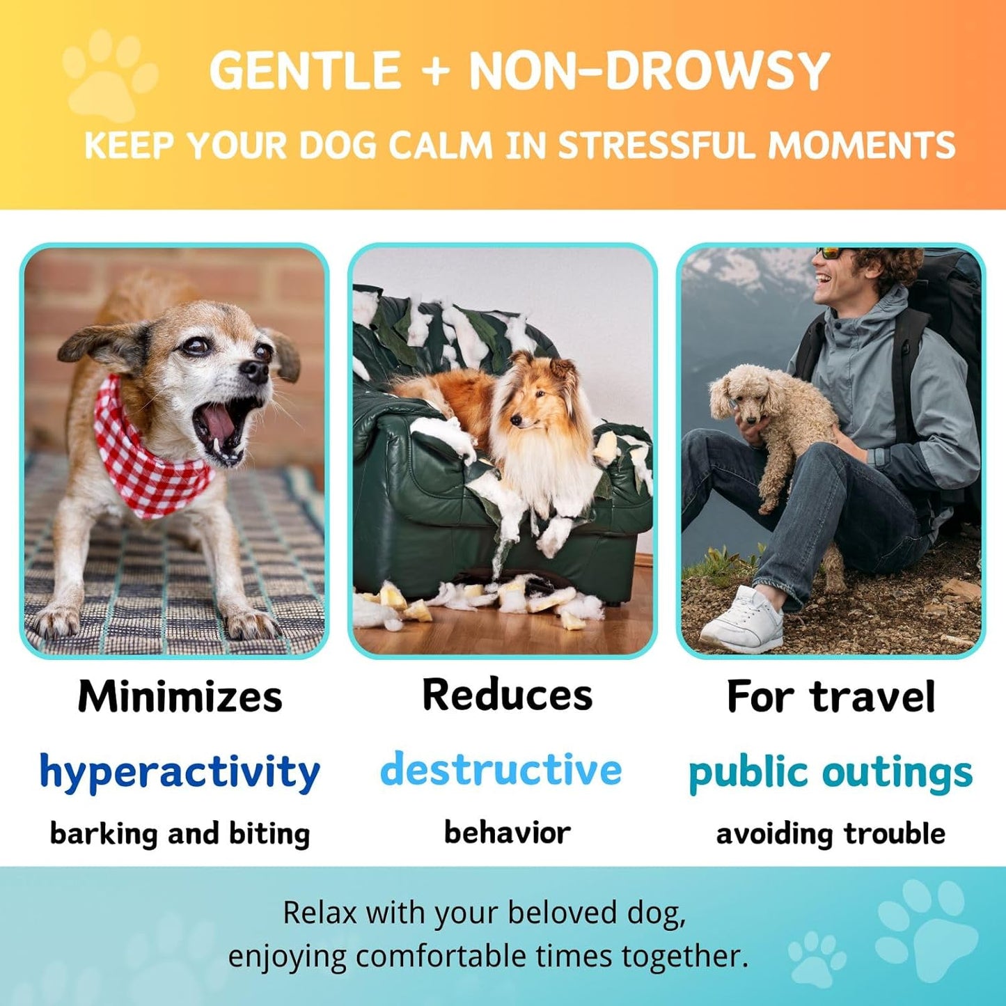 Carmelie Dog Calming Chews | 200ct Anxiety & Stress Relief for Separation, Barking & Sleep | Valerian Root & Melatonin-carmelie