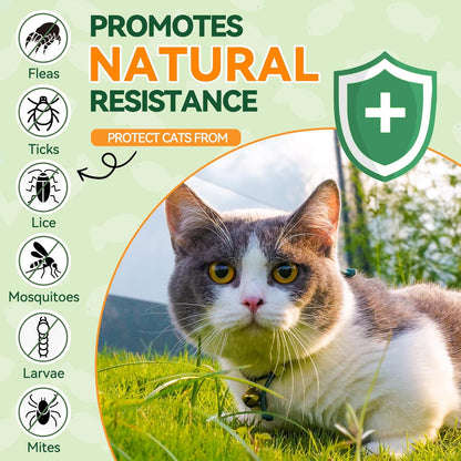 Carmelie Natural Flea & Tick Defense for Cats | 200ct Soft Chews | Daily Oral Support | Tasty Chicken Flavor-carmelie