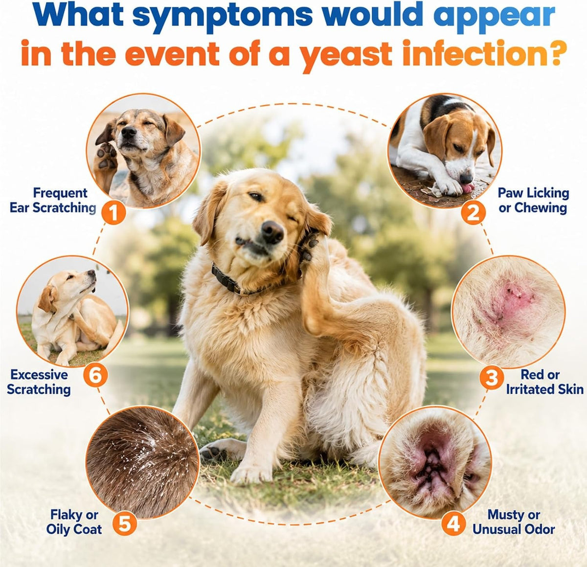 Carmelie Yeast Care Bundle for Dogs – Relief Drops + Soft Chews