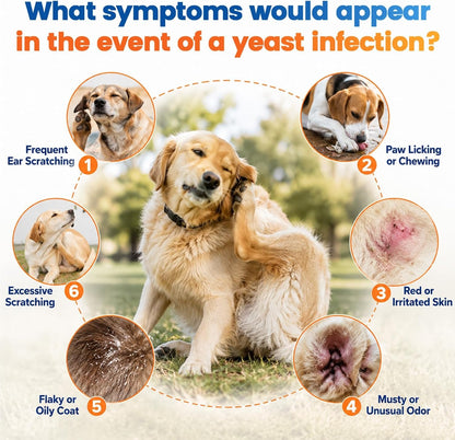 Carmelie Yeast Care Bundle for Dogs – Relief Drops + Soft Chews