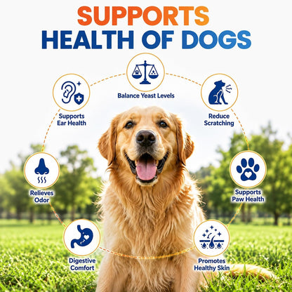Carmelie Yeast Care Bundle for Dogs – Relief Drops + Soft Chews
